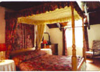 Main Photo