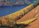 Property image: Stayin The Lake District